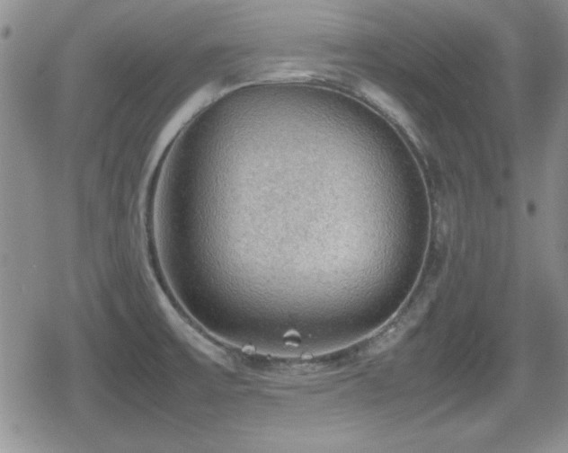 X0000080731475200612151211