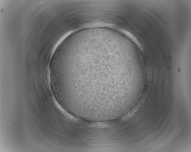 X0000080731476200612151211