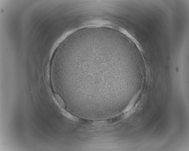 X0000080731477200612151211