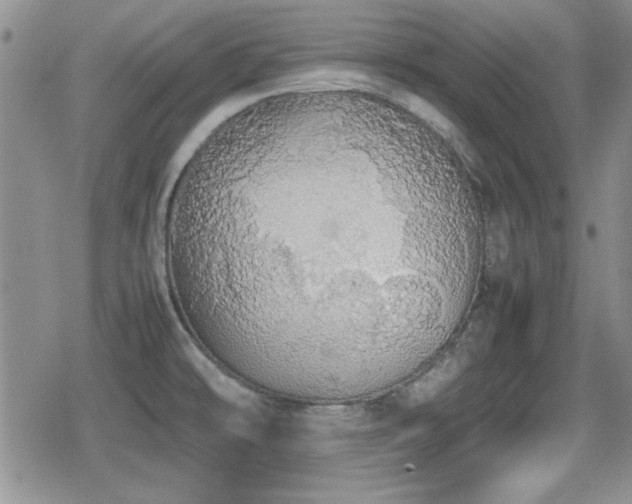 X0000080731478200612151211