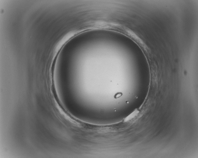 X0000080731479200612151211