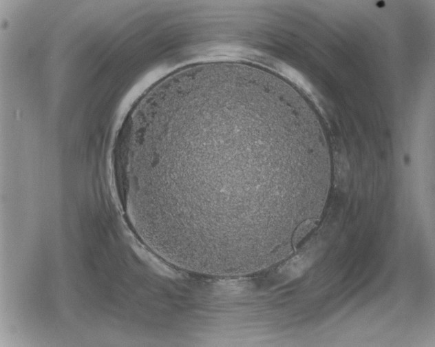 X0000080731480200612151211