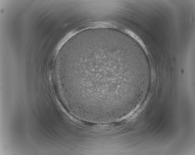 X0000080731481200612151211