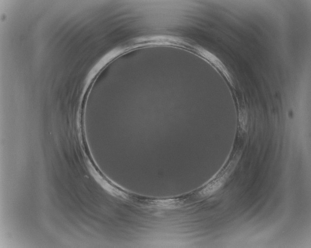 X0000080731482200612151211