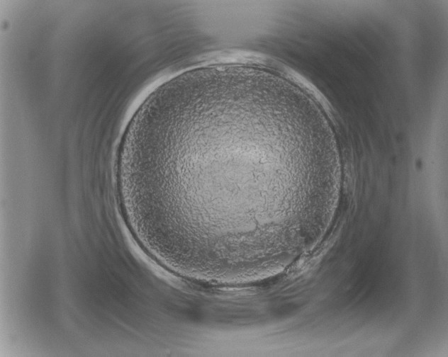 X0000080731483200612151211