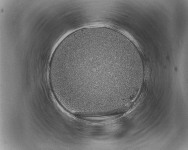 X0000080731484200612151211