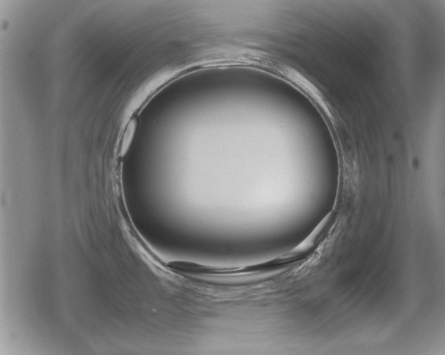 X0000080731485200612151211