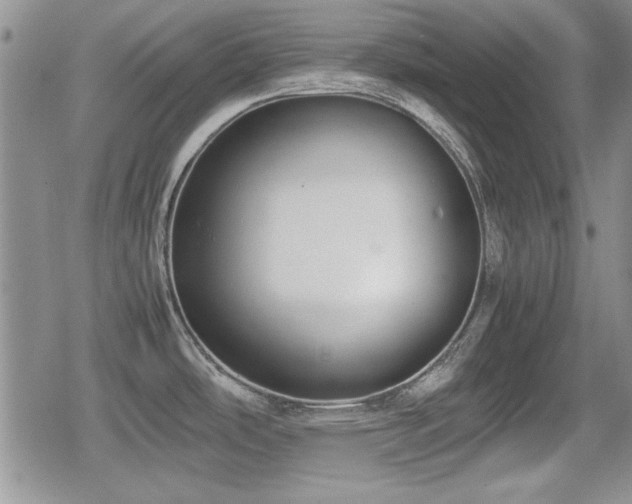 X0000080731486200612151211