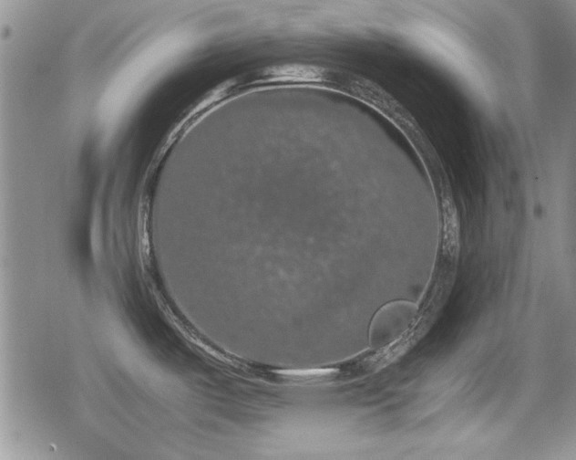 X0000080731487200612151211