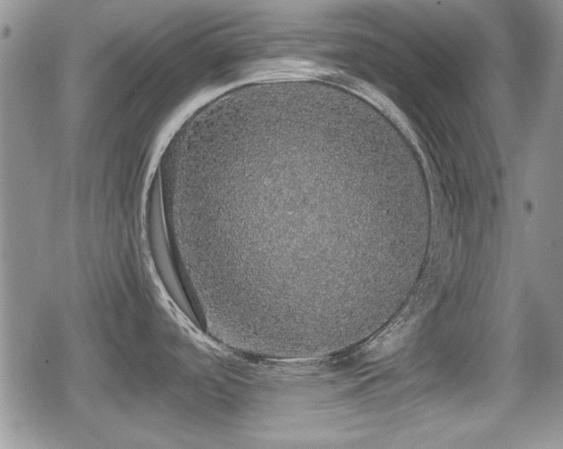 X0000080731488200612151211