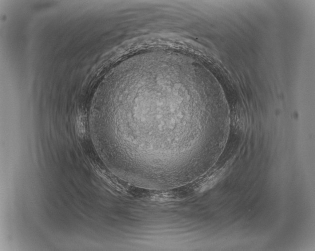 X0000080731490200612151210