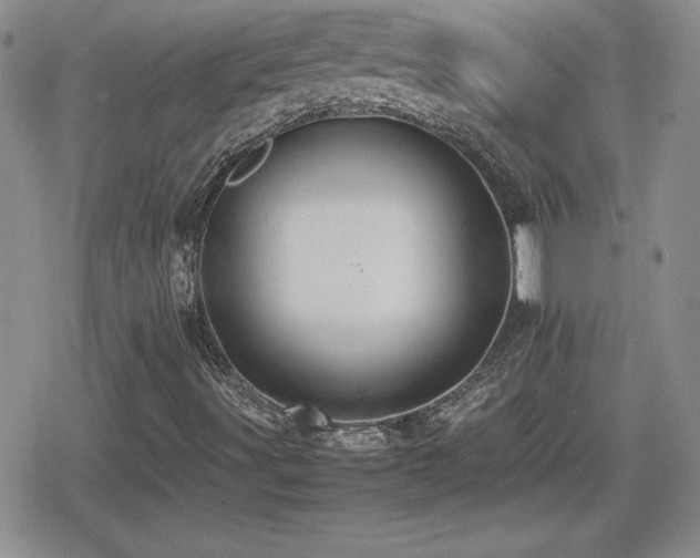 X0000080731491200612151210