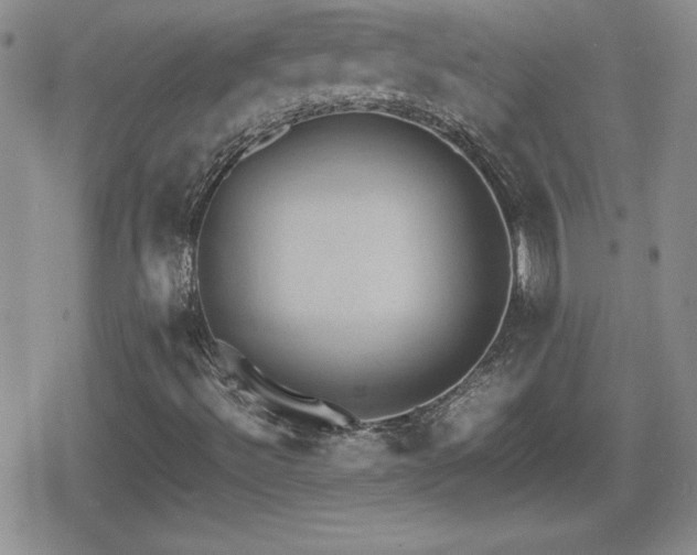 X0000080731492200612151211