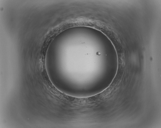 X0000080731493200612151211