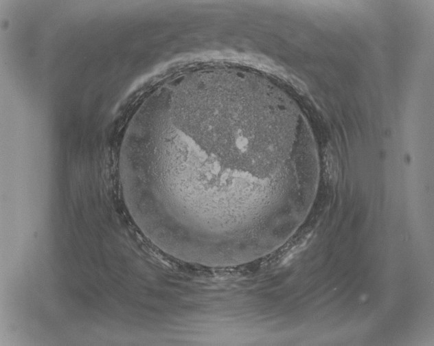 X0000080731494200612151211