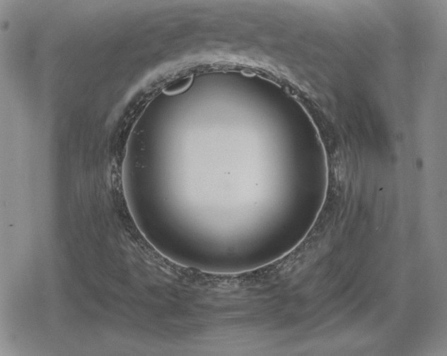 X0000080731495200612151211