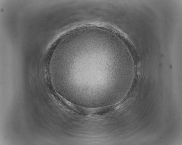 X0000080731496200612151211