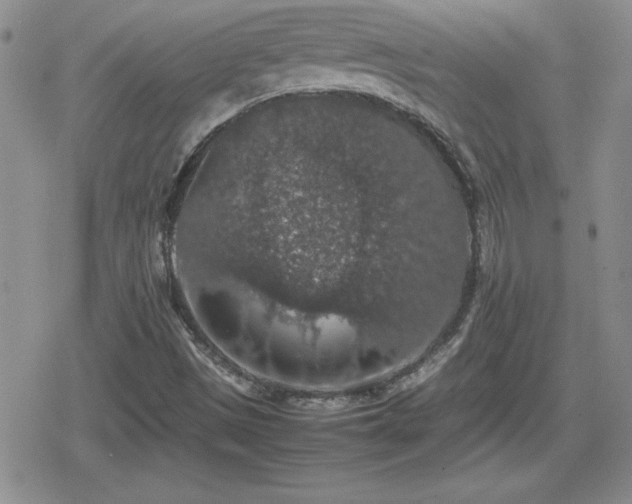 X0000080731497200612151211