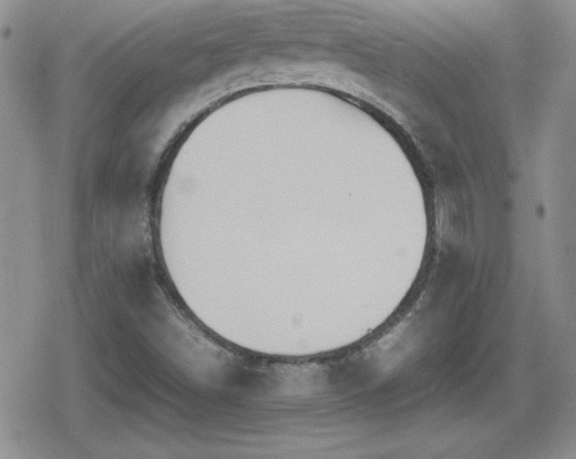 X0000080731498200612151211