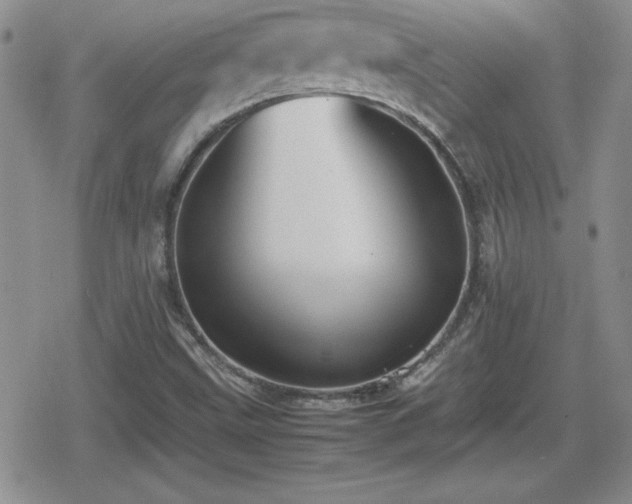 X0000080731499200612151211