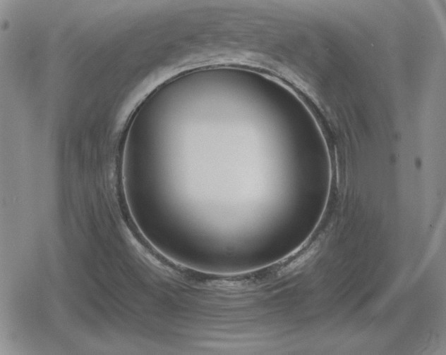 X0000080731500200612151211