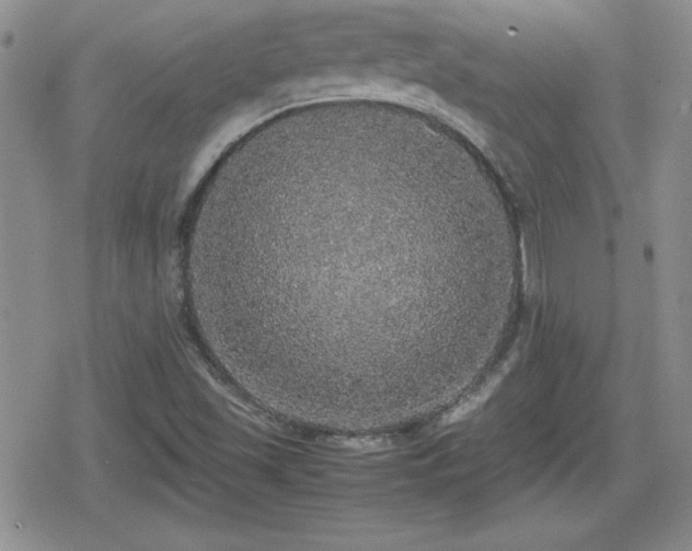 X0000080731501200612151211