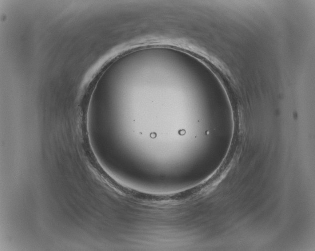 X0000080731502200612151211