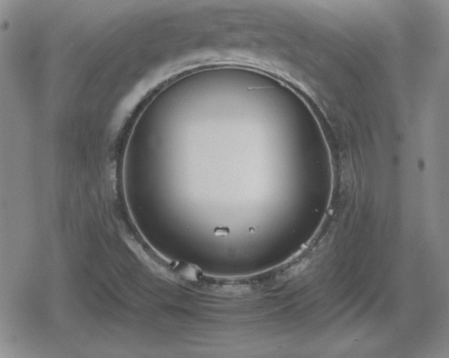 X0000080731503200612151211