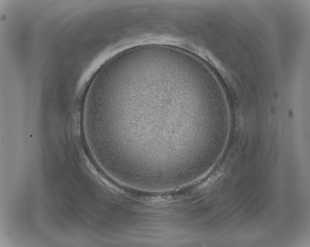 X0000080731504200612151211