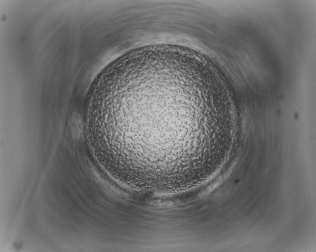 X0000080731505200612151211