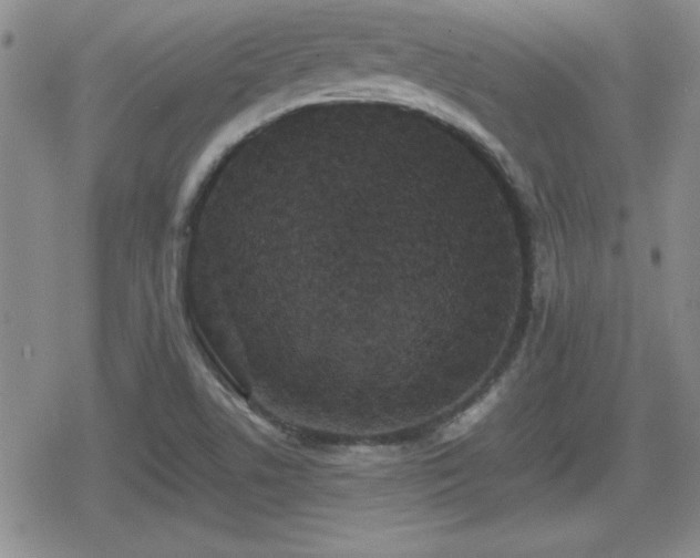 X0000080731506200612151211