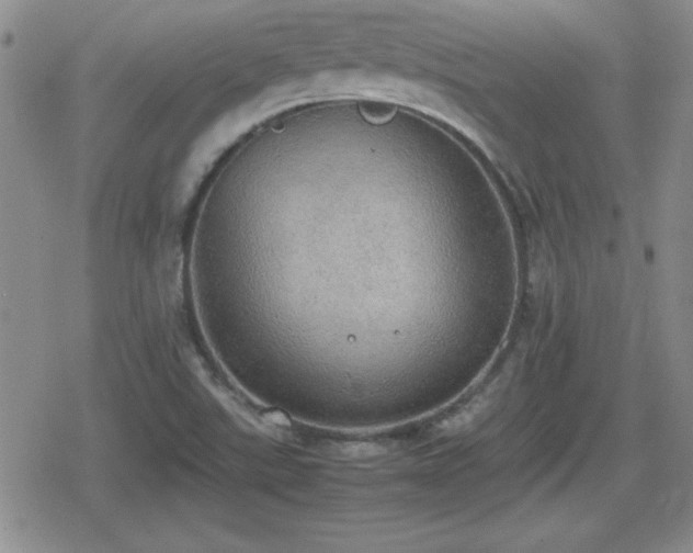 X0000080731507200612151211