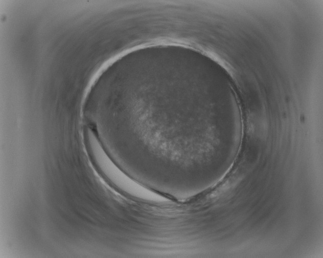 X0000080731508200612151211