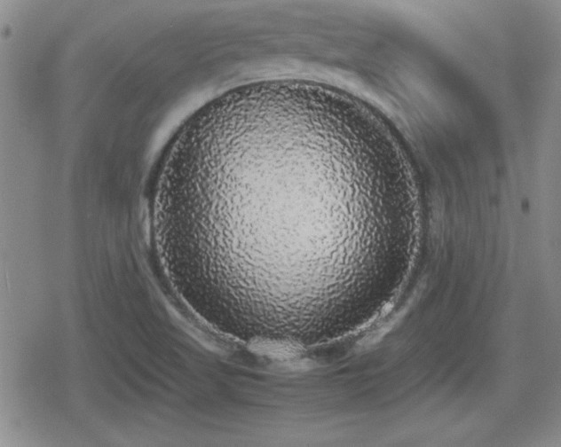 X0000080731509200612151211