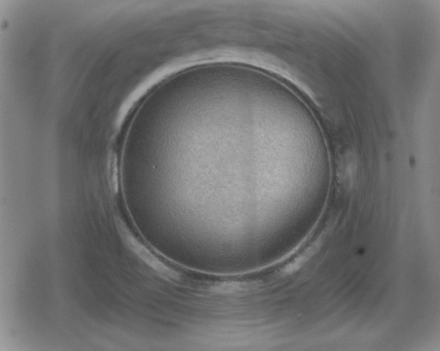 X0000080731510200612151211