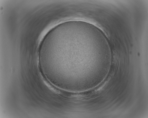 X0000080731511200612151211