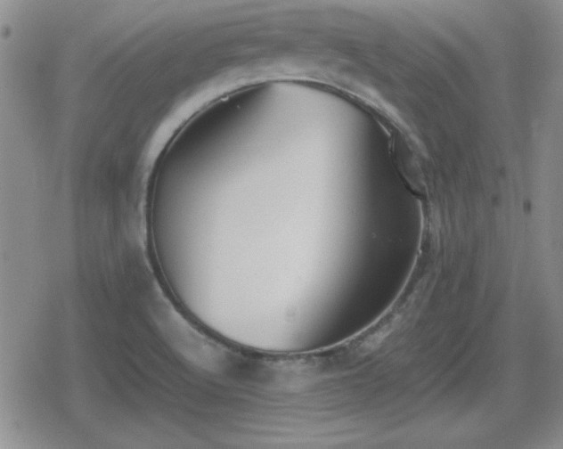 X0000080731512200612151211