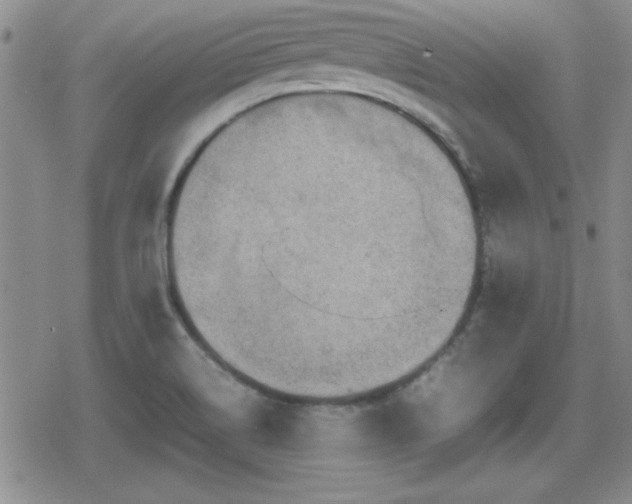 X0000080731514200612151211