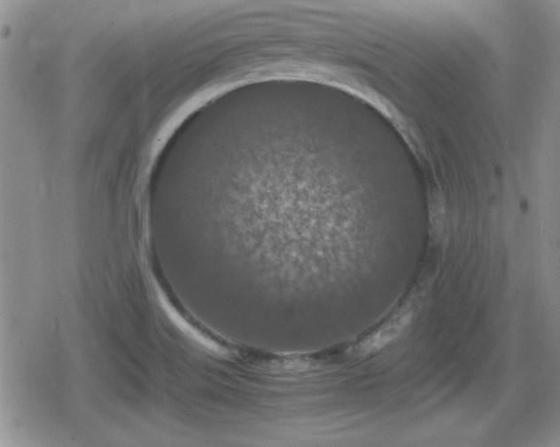 X0000080731515200612151211