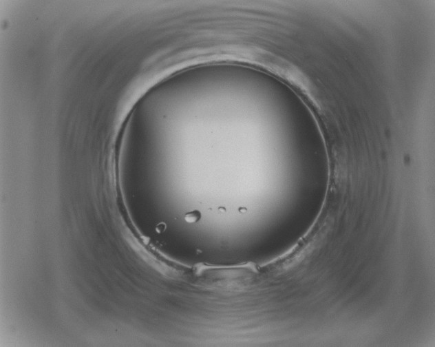 X0000080731516200612151211