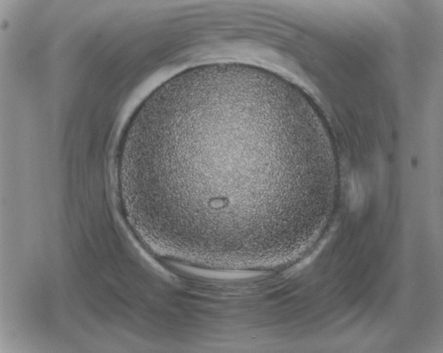 X0000080731517200612151211