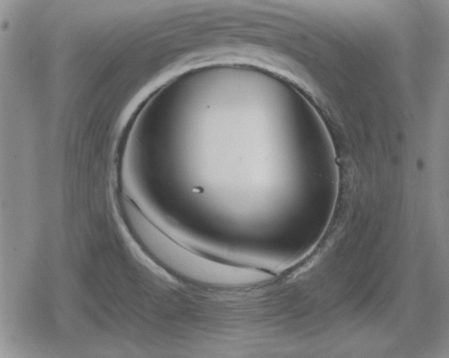 X0000080731518200612151211