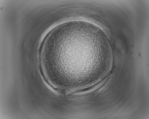 X0000080731519200612151211