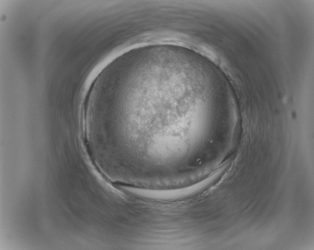 X0000080731520200612151211