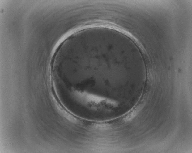 X0000080731522200612151211