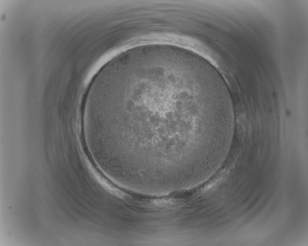 X0000080731523200612151211