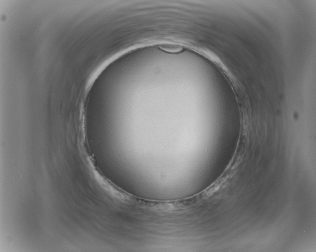 X0000080731524200612151211