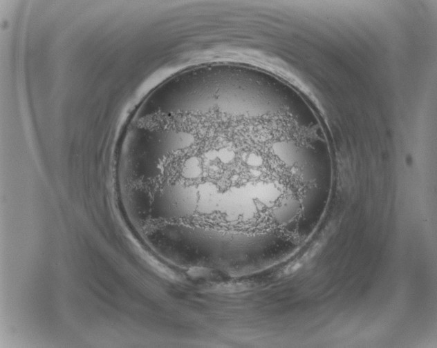 X0000080731525200612151211