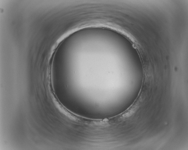 X0000080731526200612151211