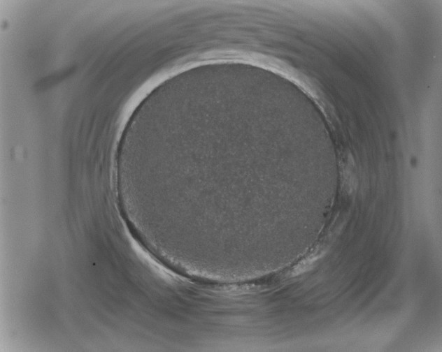 X0000080731527200612151211